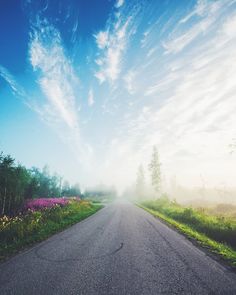 an empty road surrounded by wildflowers and trees