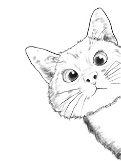 a black and white drawing of a cat's face with one eye wide open