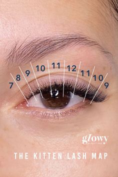 Kitten Lash Mapping, Lash Mapping Natural Eye, Lash Extensions Kitten Eye, Short Full Lash Extensions Map, Kitten Eyelash Extensions Mapping, Kitten Lash Map, Kitten Eyelashes, Kitten Eye Lash Map, Short Cat Eye Lash Map