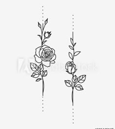 two roses with leaves on the stems, one is drawn in black ink and the other has