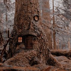 a tree with a house built into it