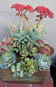 an arrangement of succulents and flowers in a wooden container on a table