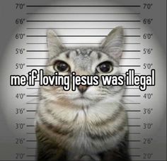 a cat with the caption me if loving jesus was illegal