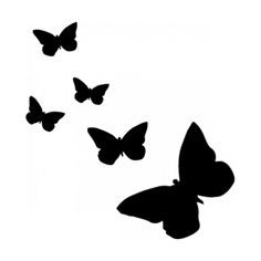 black and white butterflies flying in the air