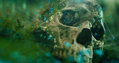 a close up of a skull in the grass with blue and green bubbles around it