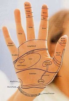 Reflexology Hand, Ear Reflexology, Reflexology Points, Hand Reflexology, Trening Fitness, Reflexology