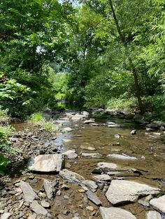 a stream running through a forest filled with lots of rocks and trees on either side