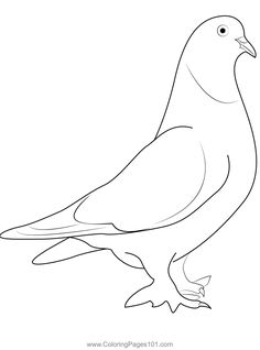 a bird sitting on the ground with its beak open and wings spread out, coloring pages 101