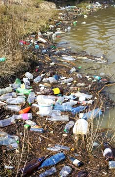 the water is full of plastic bottles and trash