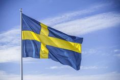 Swedish Flag in Sunlight Bbq Decorations, St George Flag, Kingdom Of Sweden, Finnish Language, Sweden Flag, Swedish Flag, Norway Flag, National Flags, Flag Coloring Pages