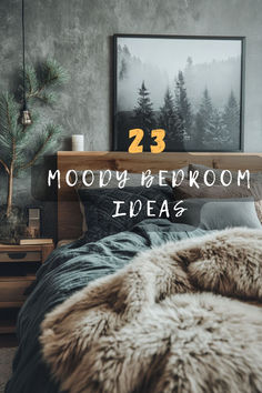 an image of a bedroom setting with the text 23 moody bedroom ideas on it