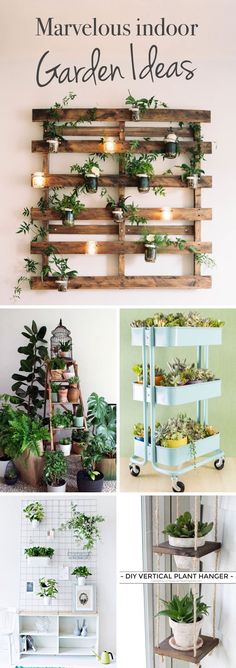 several different types of indoor plants in wooden pallets with text overlay that reads marvelous indoor garden ideas