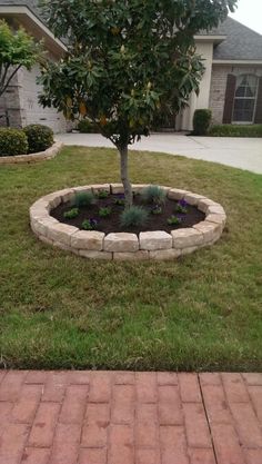 a small tree sitting in the middle of a brick garden bed on top of grass