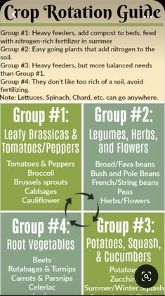 an info sheet describing how to grow and eat vegetables