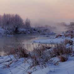 snow covered ground next to a body of water with trees in the background and fog