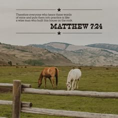 two horses graze in a field with mountains in the background and text that reads, there is no place where those words can be seen