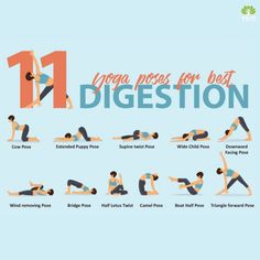 the 11 yoga poses for best digest