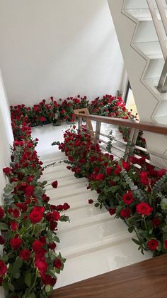 some red roses are growing on the stairs