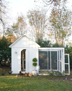 chickens are walking around in the grass near a small white building with windows and doors