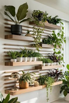 a wall mounted shelf filled with lots of potted plants next to a large window