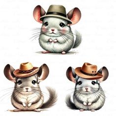 three different types of mouses wearing hats