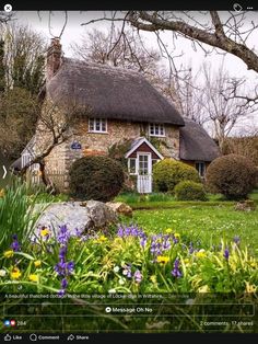 an image of a house that is in the grass with flowers around it and trees