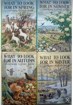 four children's books about what to look for in autumn and what to look for in winter