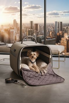 a dog laying in its bed on top of a floor next to a large window