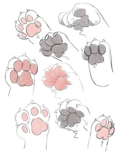 the steps to drawing paws in adobe