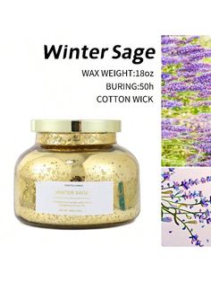 an image of a jar with flowers in it and the words winter sage next to it