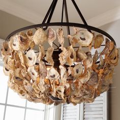 a chandelier made out of seashells hangs from the ceiling in front of a window