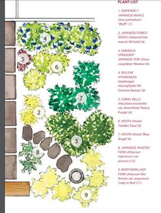 a garden plan with plants and numbers on it