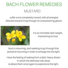 the benefits of flower remedies must be found in many different areas of the body