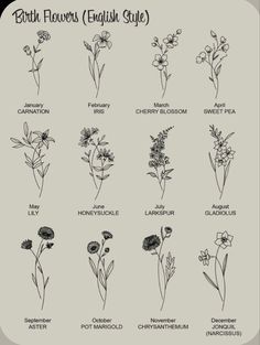 the british flowers and their names