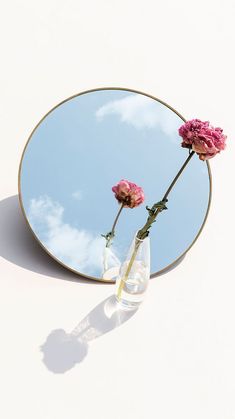 two pink flowers in a glass vase on a white surface with a mirror reflecting the sky