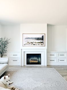 a dog laying on the floor in front of a fire place with white walls and drawers