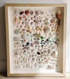 a shadow box filled with shells and seashells on a wooden table next to a white wall