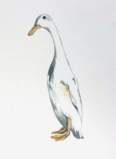 a watercolor painting of a duck standing on one leg