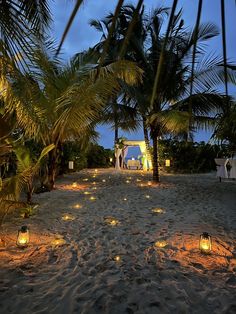 candles are lit in the sand near palm trees