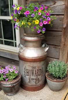 three potted plants sitting next to each other on the side of a wooden building