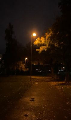 a street light in the middle of a park at night with no one on it