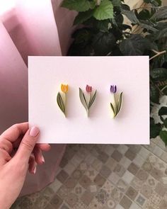 three flowers are placed on a card in front of a potted plant, one is pink and the other is yellow