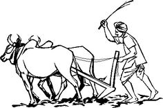 a man plowing the land with two oxen