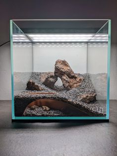 an aquarium with rocks and gravel in it