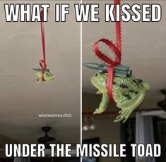 two pictures of a frog hanging from a red ribbon with the caption, what if we kissed under the missile toad?