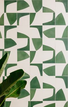 a green plant sitting in front of a white wall with geometric tiles on it's sides