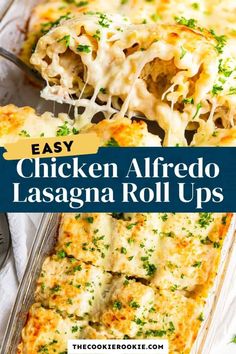 easy chicken alfredo lasagna roll ups in a casserole dish with text overlay