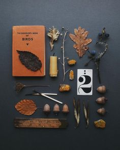 an assortment of different types of plants and leaves on a black surface with a book