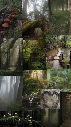 a collage of photos with trees, rocks and plants in the middle of them