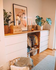 a closet with clothes and plants on the top shelf, next to a rug in front of it